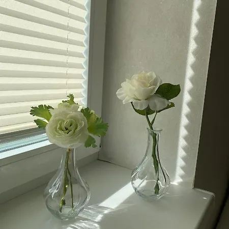 Hestia Apartment
